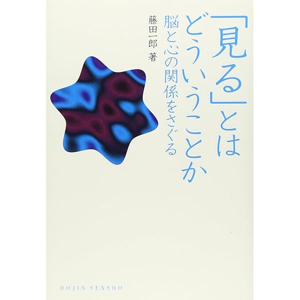 視覚世界の謎に迫る―脳と視覚の実験心理学 (ブルーバックス) | 山口